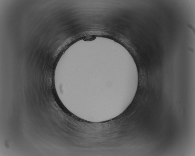 X0000100470015200807031839