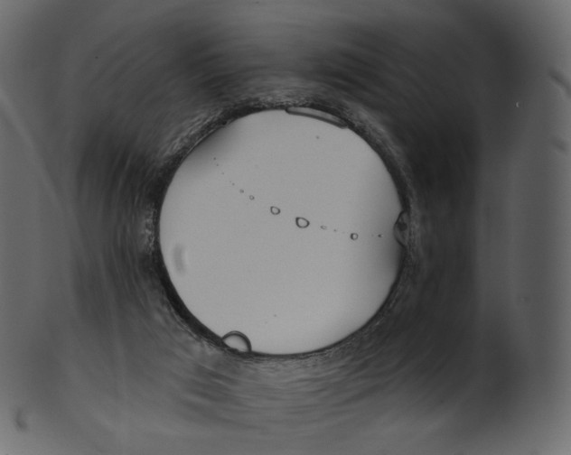 X0000100470017200807031839