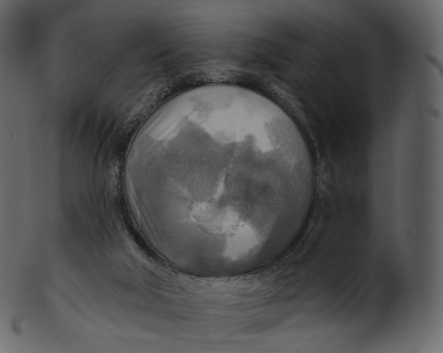 X0000100470018200807031839