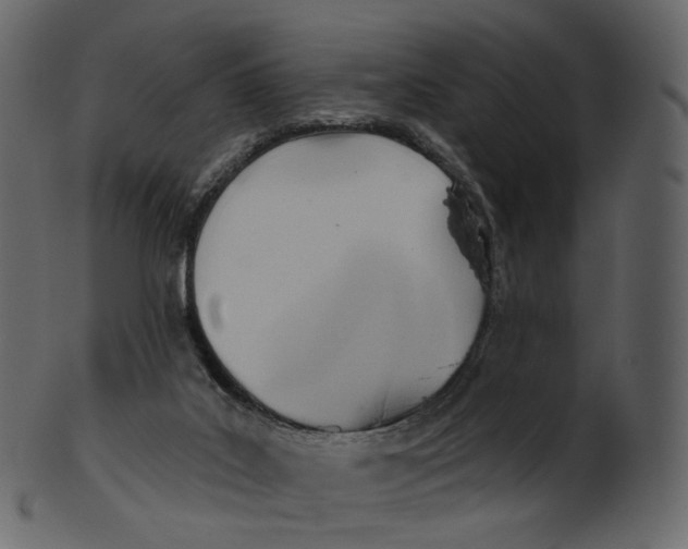 X0000100470019200807031839