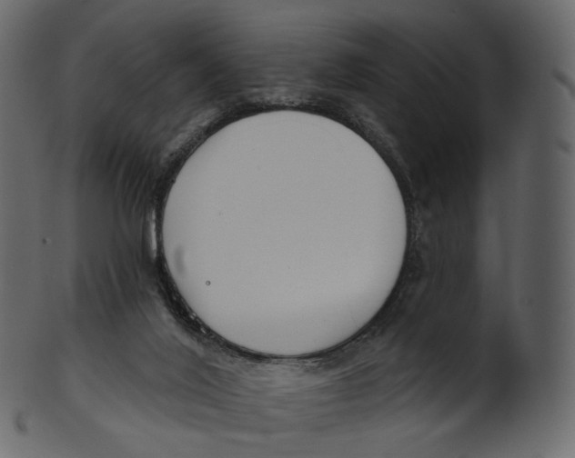 X0000100470020200807031839