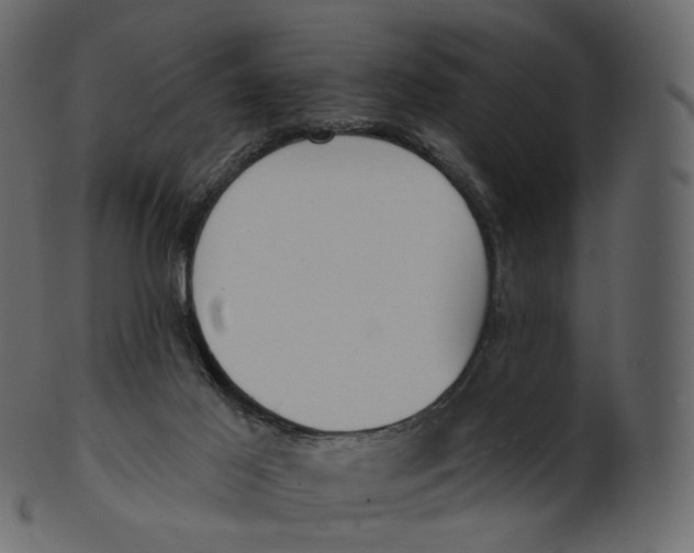 X0000100470021200807031839