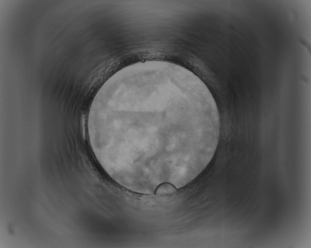 X0000100470022200807031839