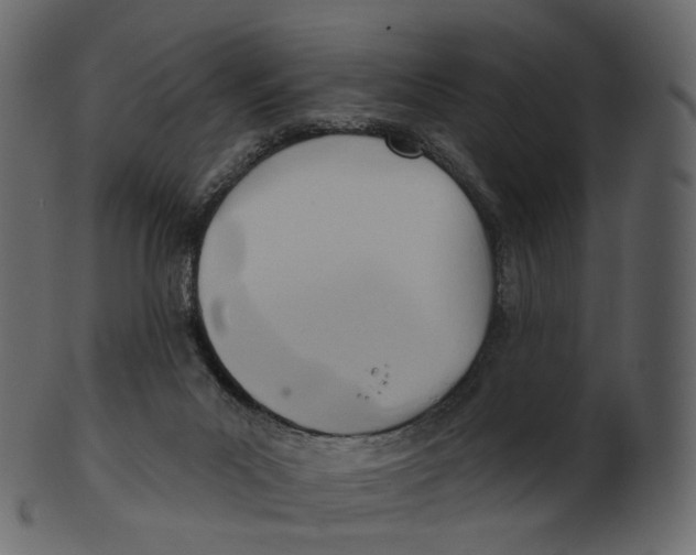 X0000100470023200807031839