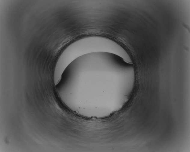 X0000100470024200807031839