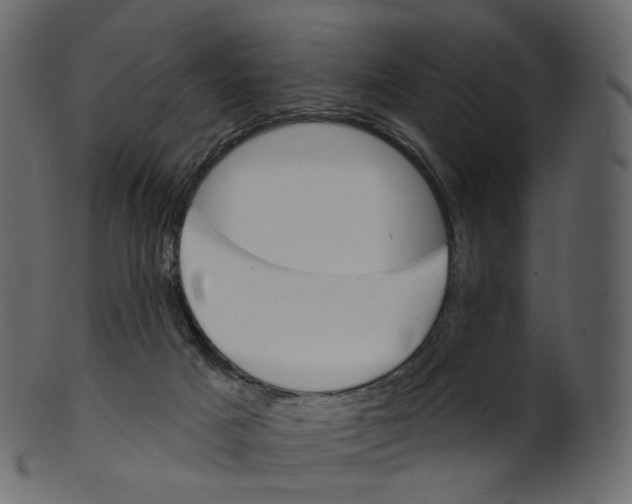 X0000100470025200807031839