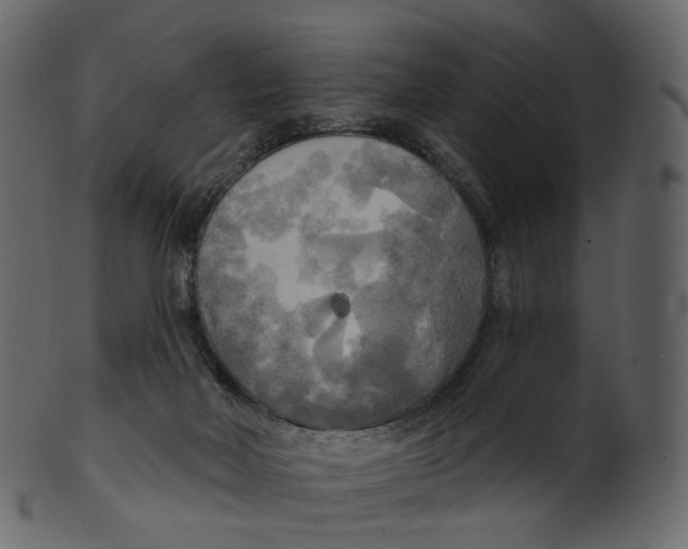 X0000100470026200807031839