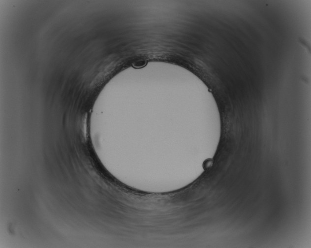 X0000100470028200807031839