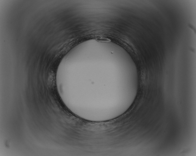 X0000100470029200807031839