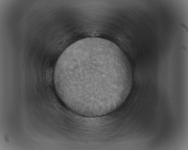 X0000100470030200807031839