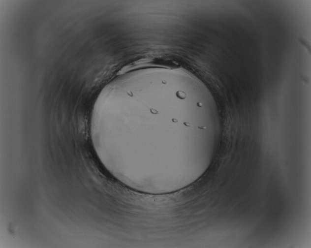 X0000100470031200807031839