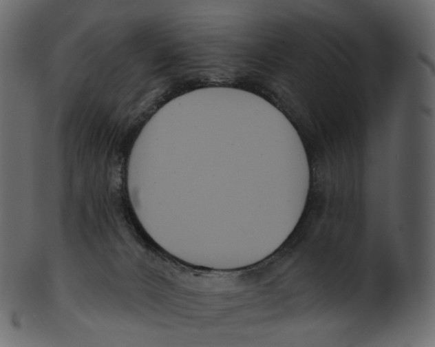 X0000100470032200807031839