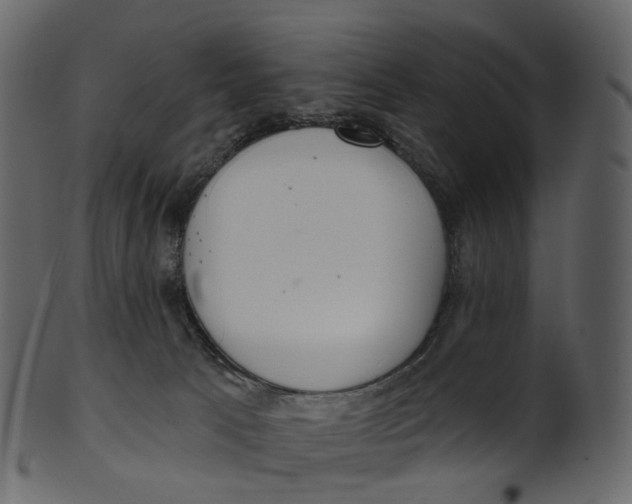 X0000100470033200807031838