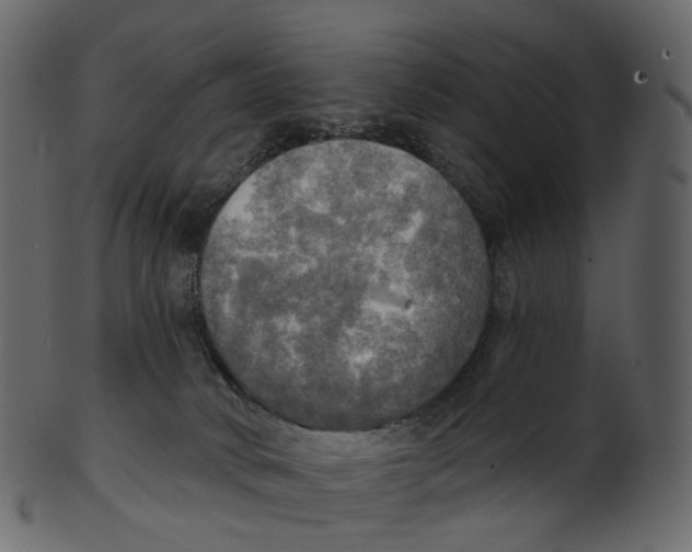 X0000100470034200807031838