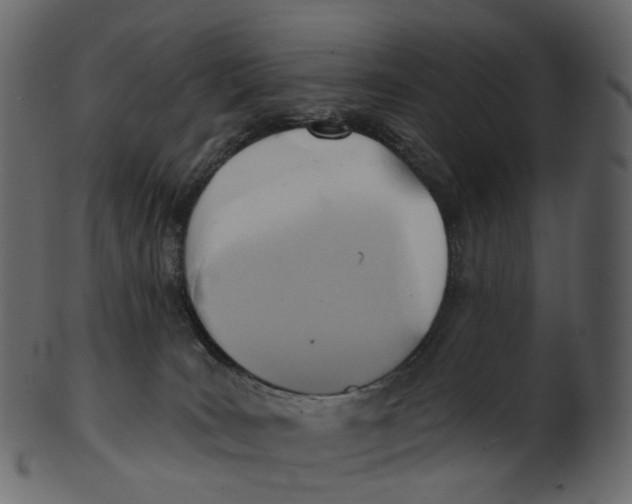 X0000100470035200807031838