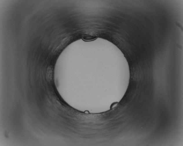 X0000100470036200807031838