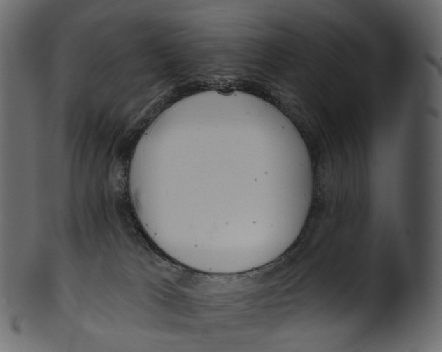 X0000100470037200807031838