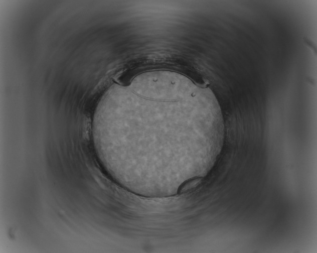 X0000100470038200807031838