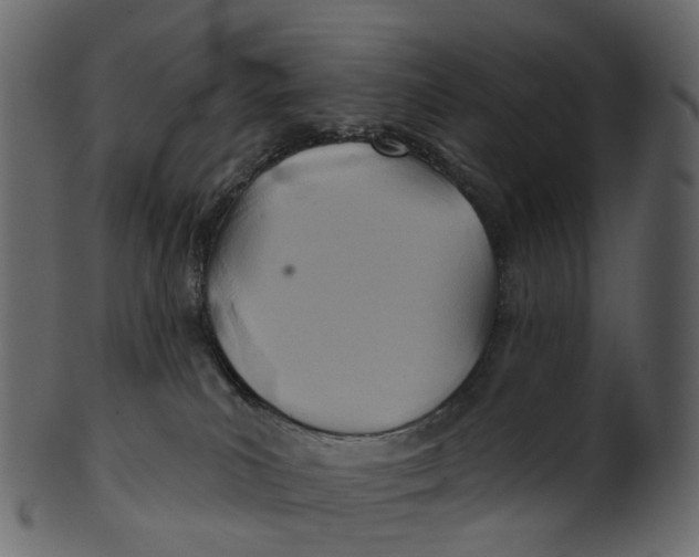 X0000100470039200807031838