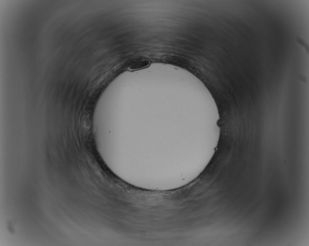 X0000100470040200807031838