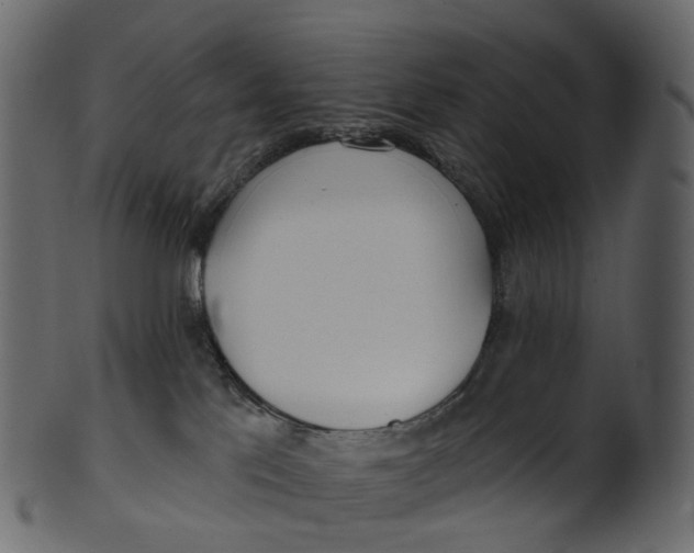 X0000100470041200807031838