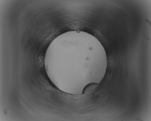 X0000100470043200807031838