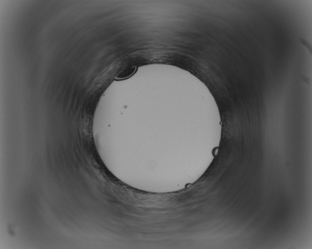 X0000100470044200807031838