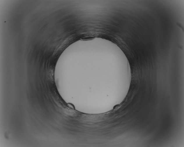 X0000100470045200807031838