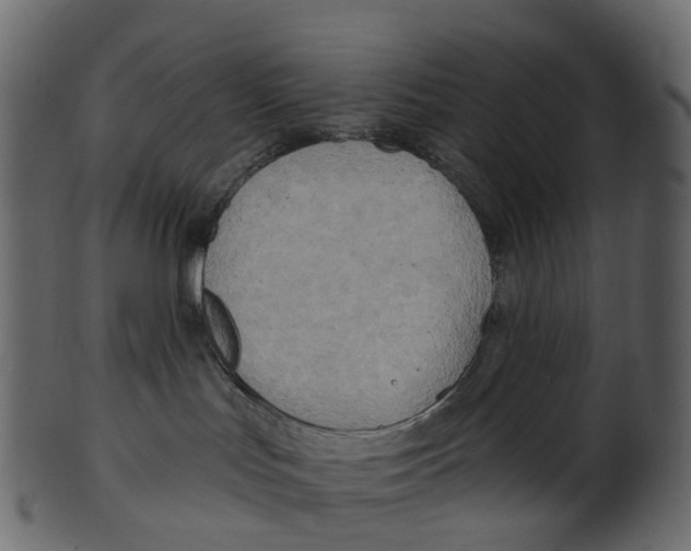 X0000100470047200807031838