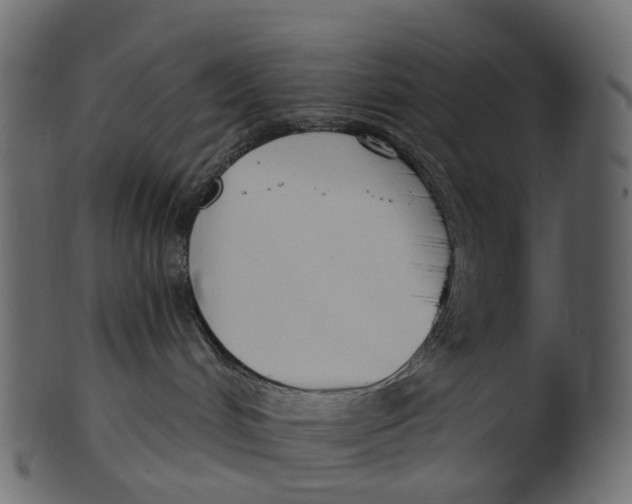 X0000100470048200807031838