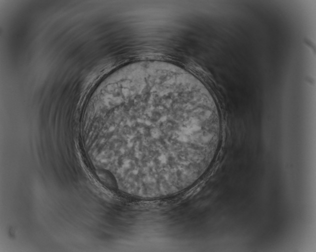 X0000100470049200807031837