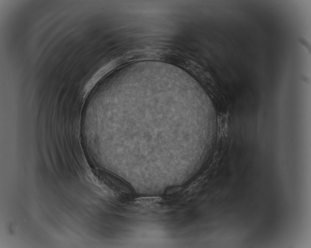 X0000100470051200807031837