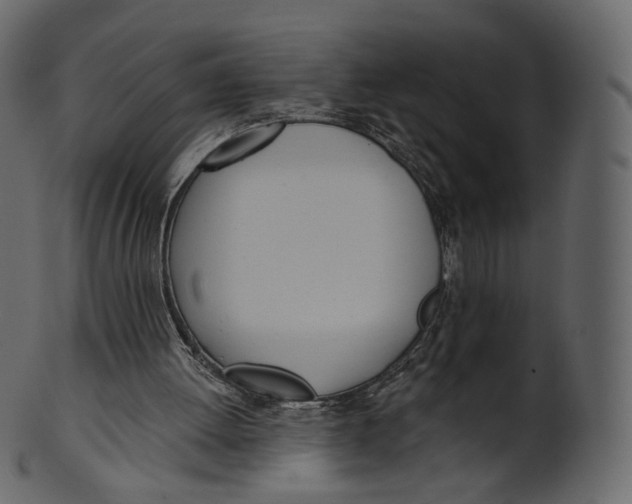 X0000100470052200807031837