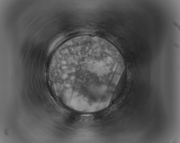 X0000100470053200807031838