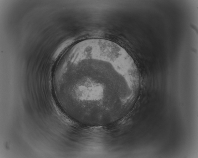 X0000100470054200807031838