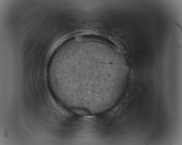 X0000100470055200807031838