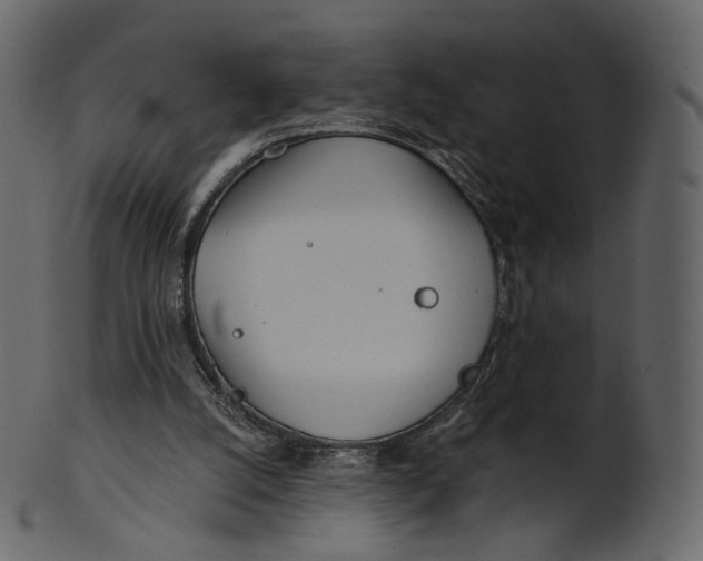 X0000100470056200807031838