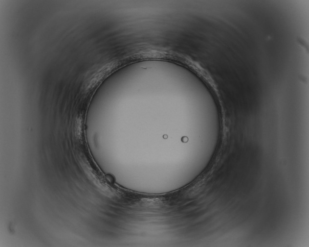 X0000100470057200807031838