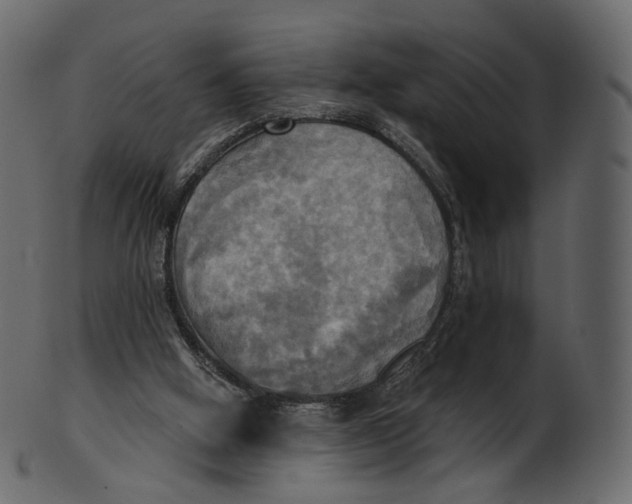 X0000100470058200807031838