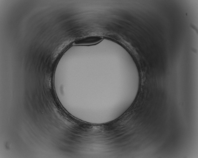 X0000100470060200807031838