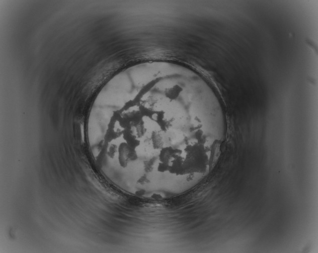 X0000100470061200807031838