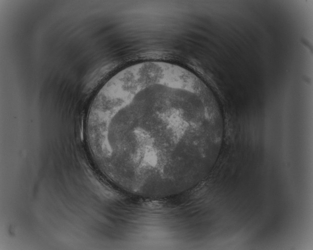 X0000100470062200807031838