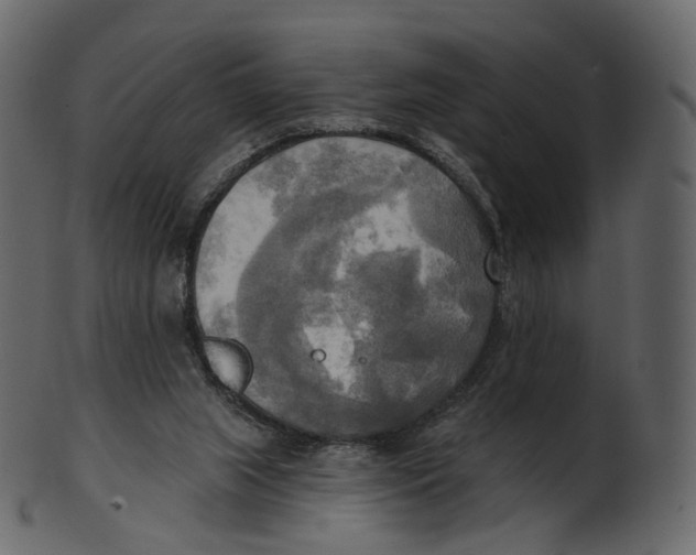 X0000100470063200807031838