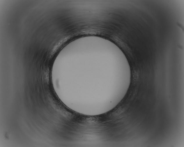 X0000100470064200807031838