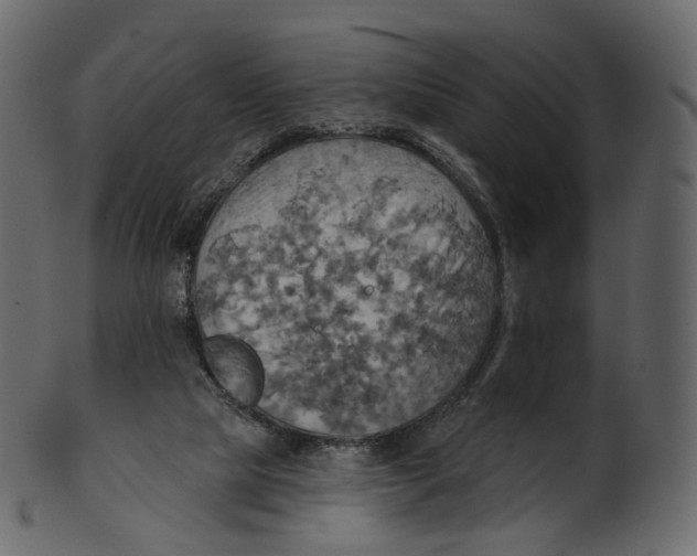 X0000100470065200807031838