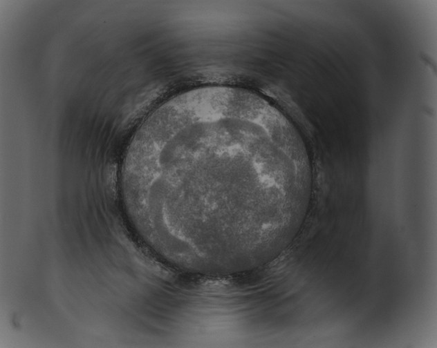 X0000100470066200807031838