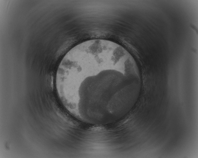 X0000100470067200807031838