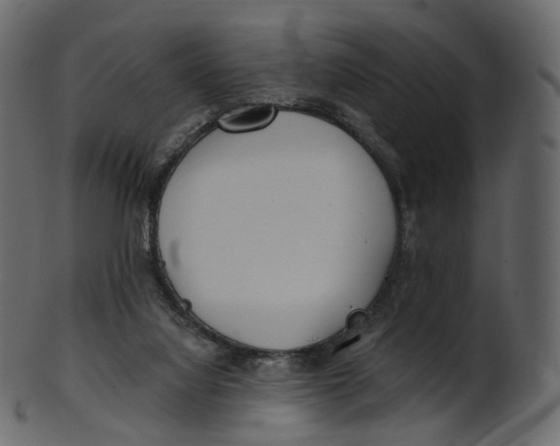 X0000100470068200807031838