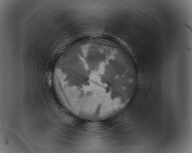 X0000100470069200807031838