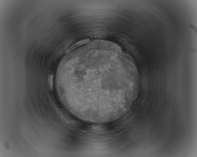 X0000100470070200807031838